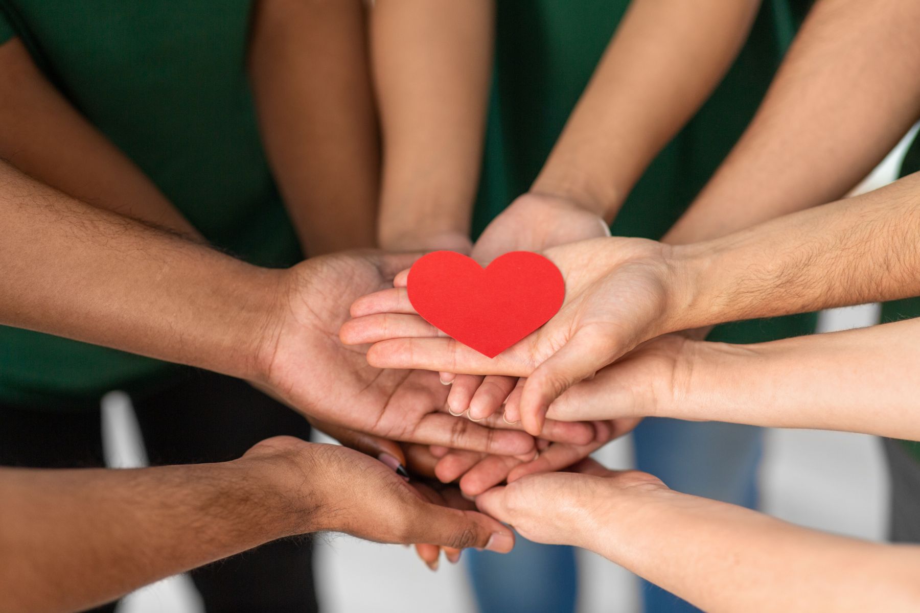 ED_4_Hands_Holding_Red_Heart_by_Syda_Productions_Canva.jpg