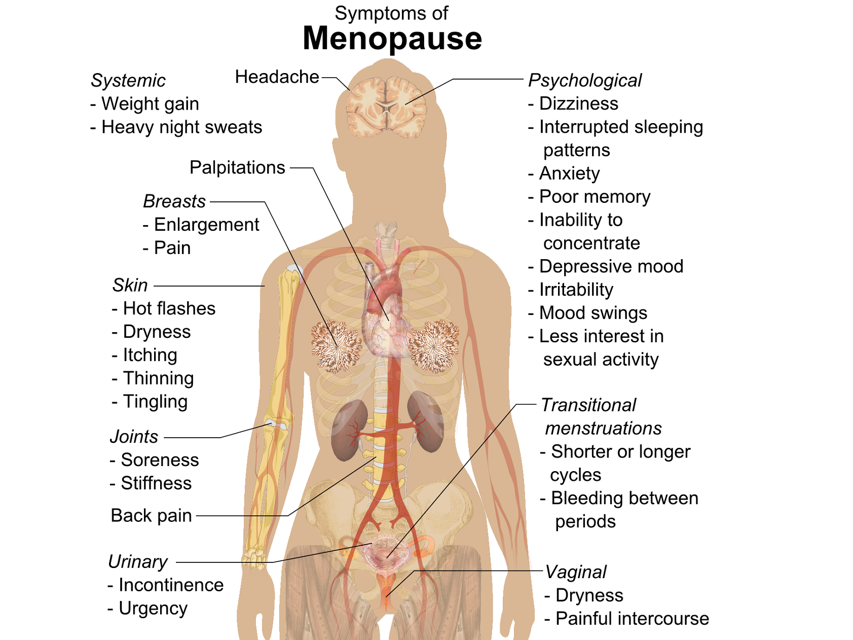 MTPR01_-_menopause_symptoms.png