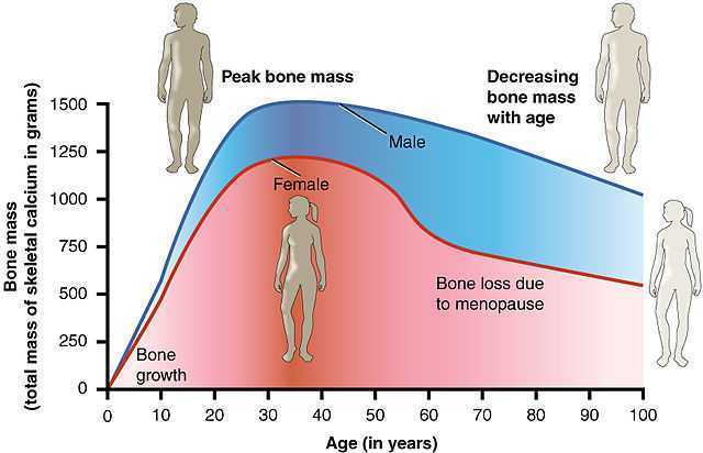 Pelvic Health at Menopause