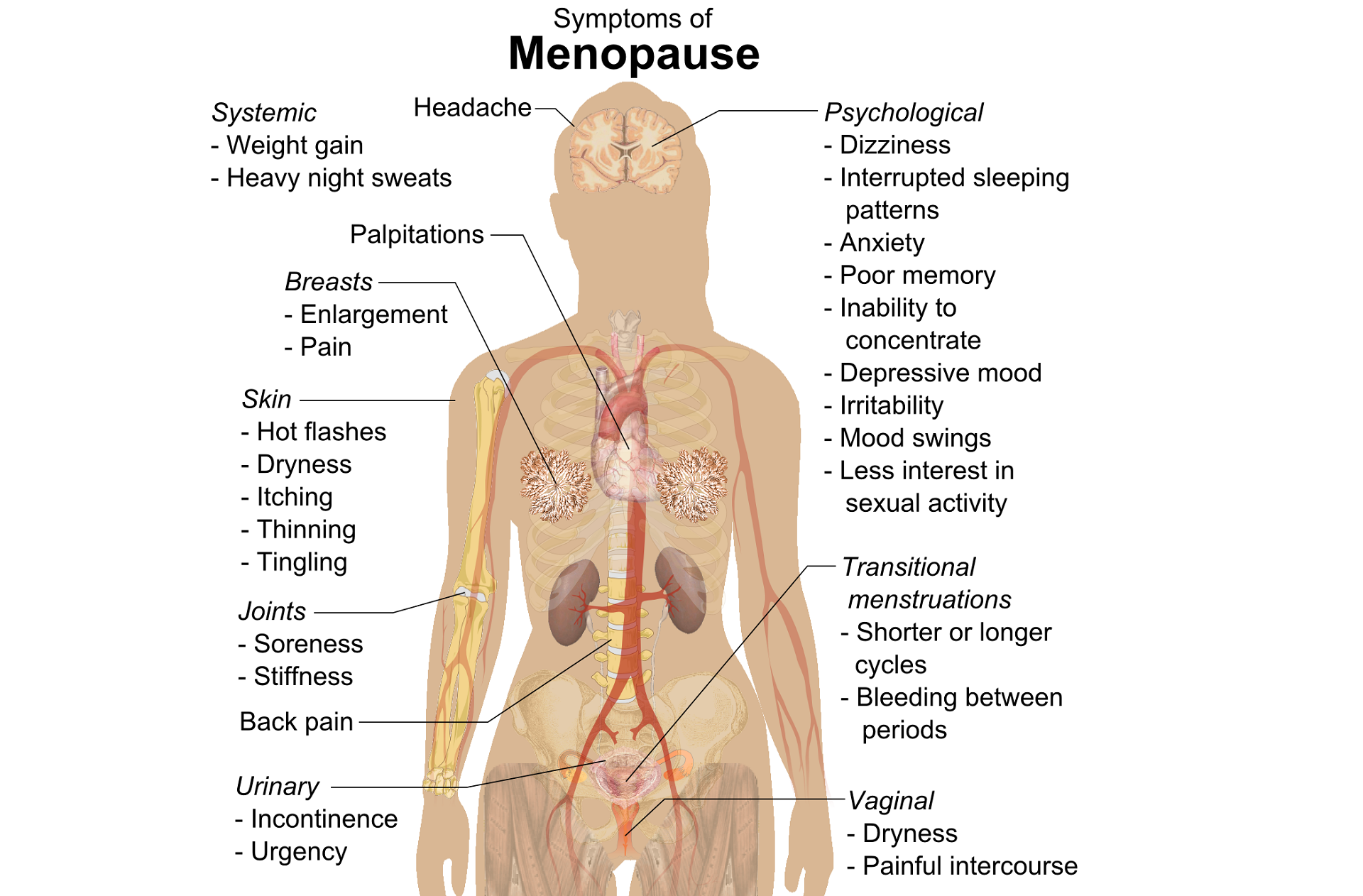 menopause symptoms