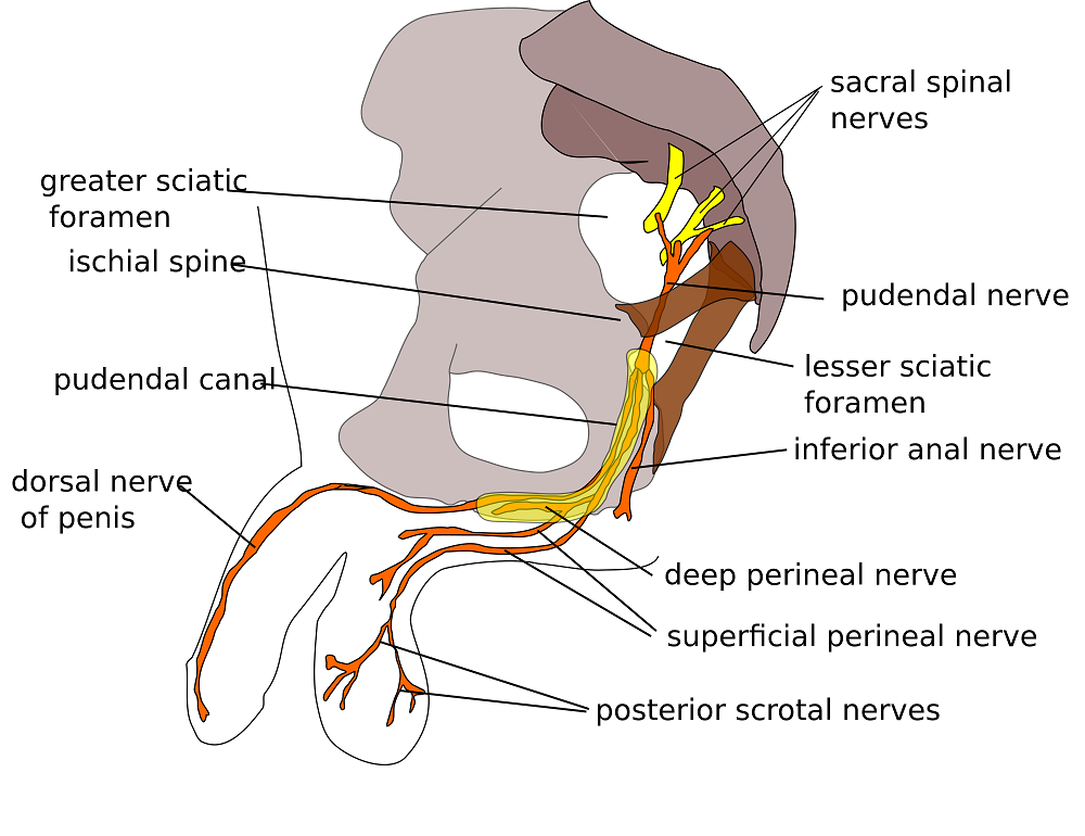 A Patient's Pelvic Rehab Journey