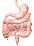Prolapse/Colorectal Care