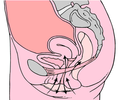 All About Kegels