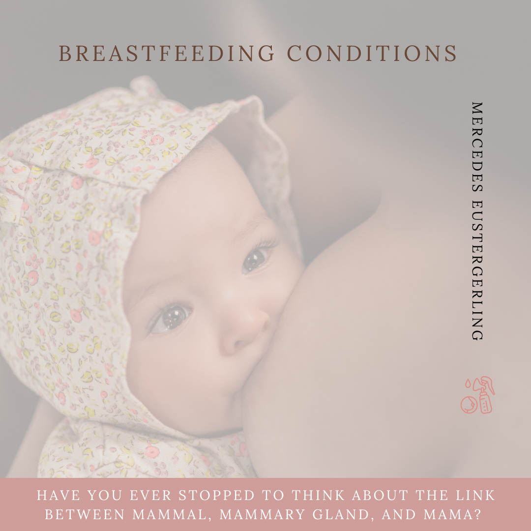 What Does Breastfeeding Have To Do With Pelvic Rehabilitation?