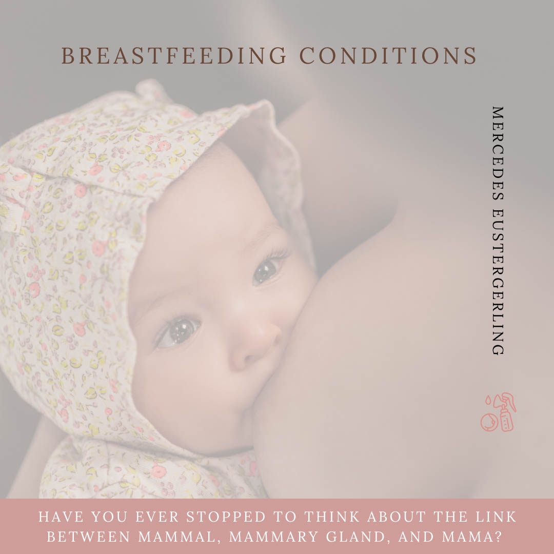 What Does Breastfeeding Have To Do With Pelvic Rehabilitation?