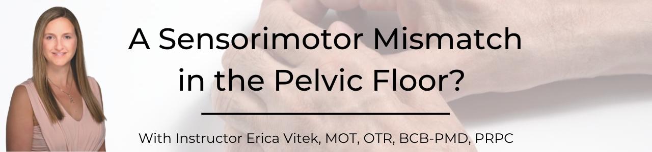 A Sensorimotor Mismatch in the Pelvic Floor? 