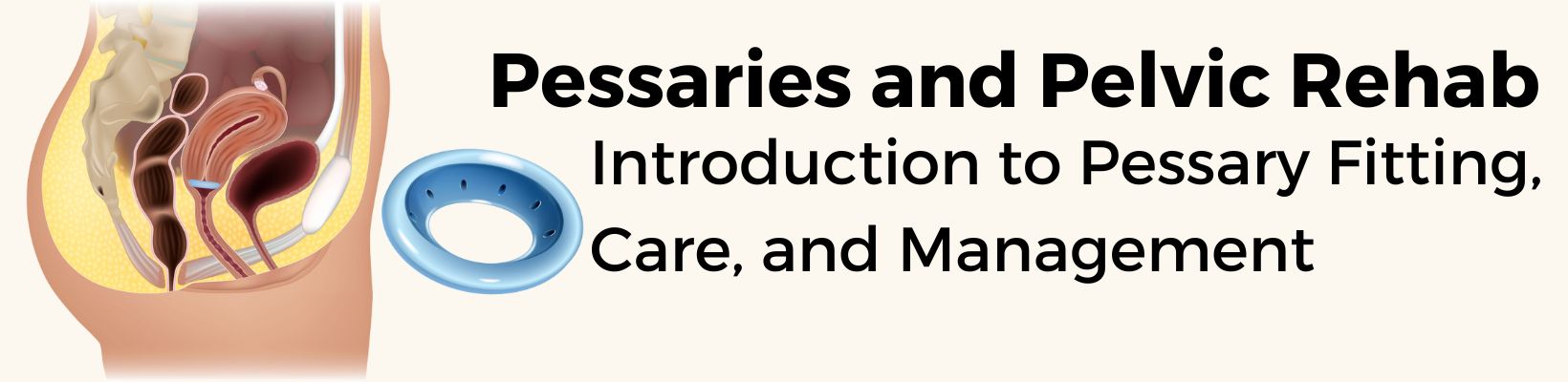 Pessaries & Pelvic Rehab
