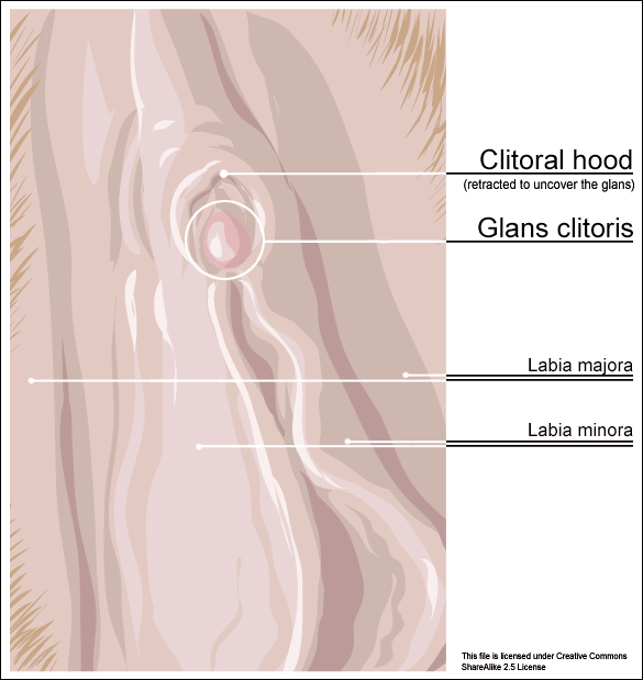 Specific Myofascial Release as a Treatment for Clitoral Phimosis