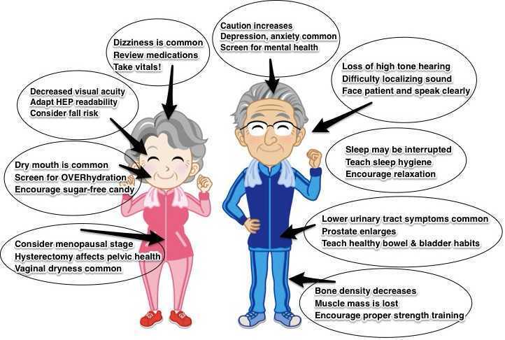 Geriatric Patients and Bladder Medications