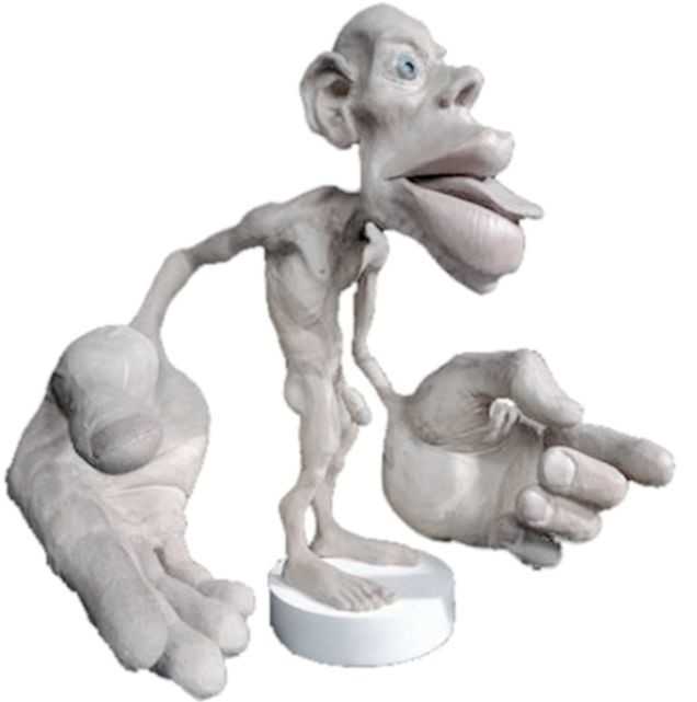 Homunculus representing how much of the cerebral cortex is devoted to sensing each part of the body