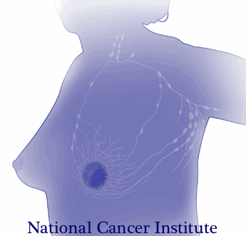  Level 3 Axillary Lymph Node Dissection and Risk of Lymphedema