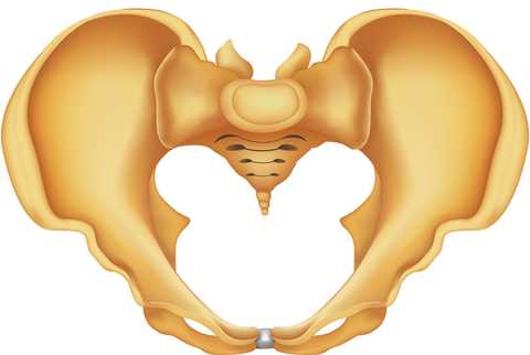 Risk Factors for Postpartum Coccyx Pain