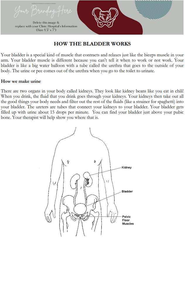 Pediatric Pelvic Floor Manual 2nd Edition